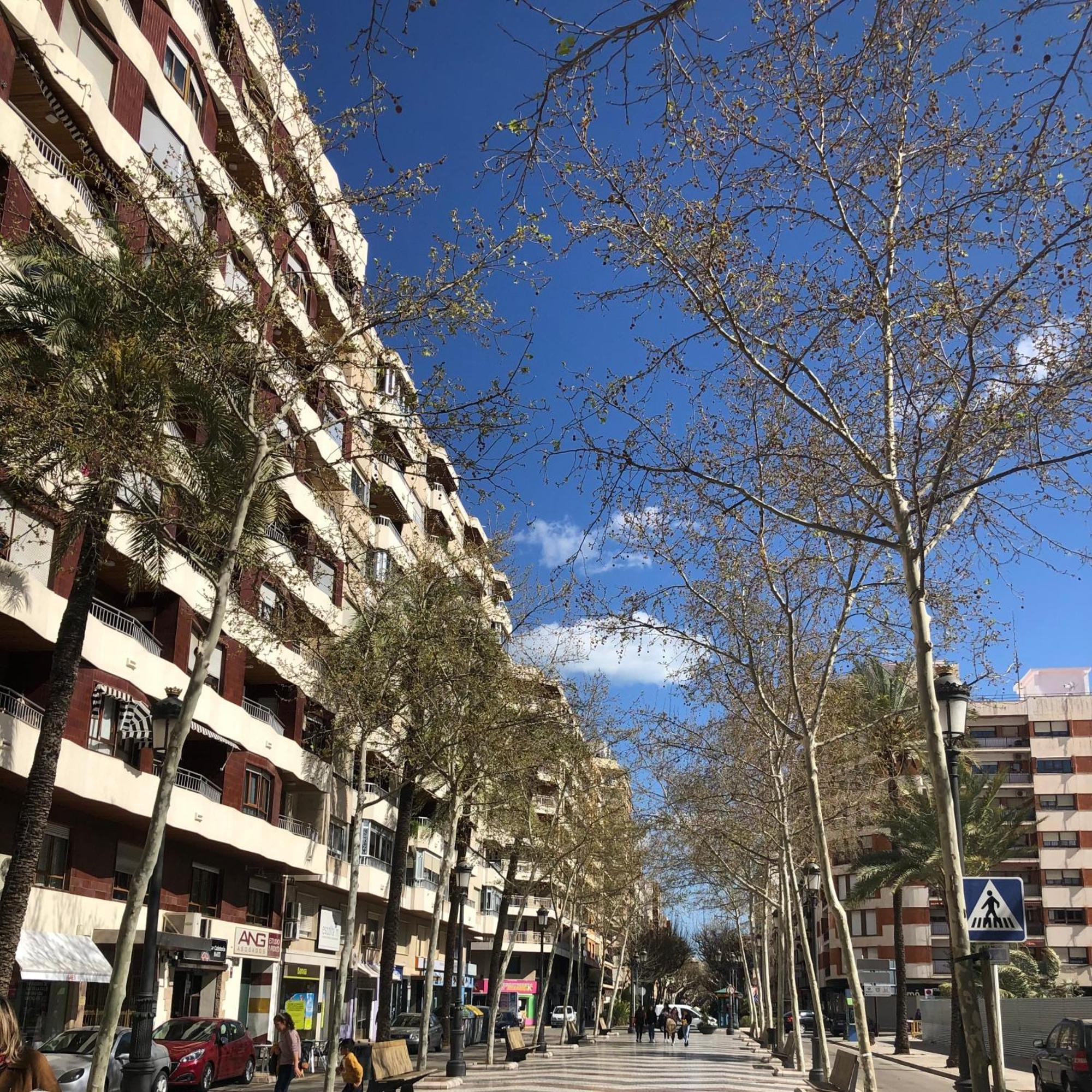 Habitaciones En Gandia A 5 Min Del Centro Historico Luaran gambar